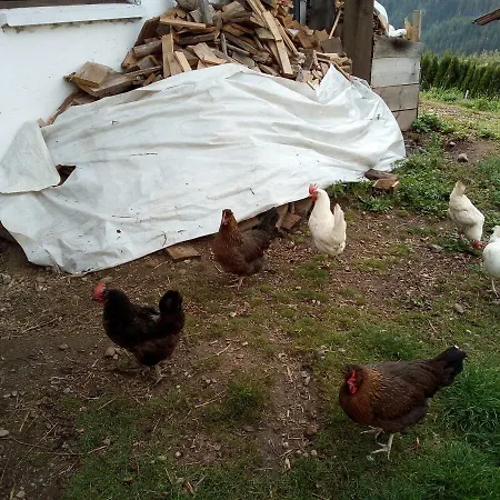 Janserhof 오베르틸리아치