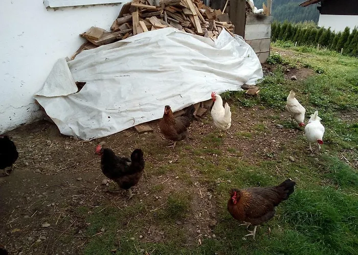 Janserhof أوبرتيلياتش