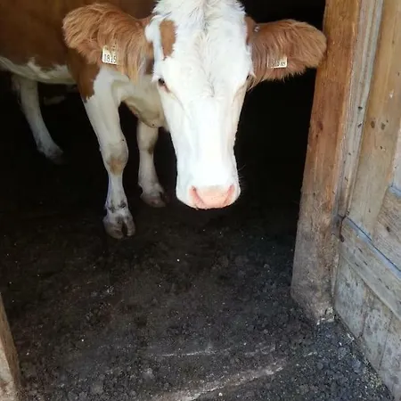 Janserhof Обертиллиах